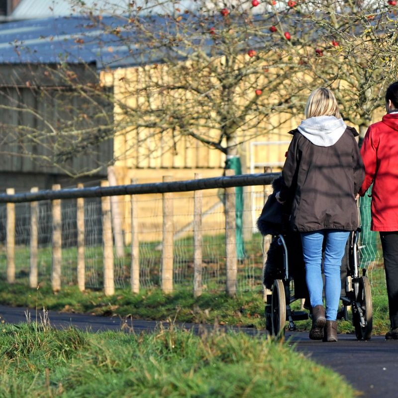 Orchard Trust Past Projects