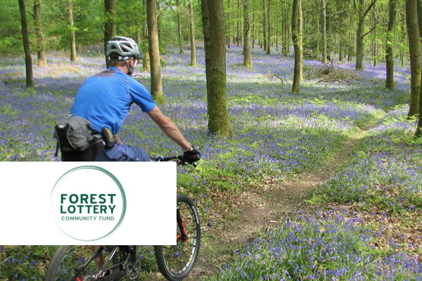 Forest Lottery