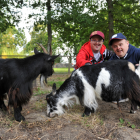 Two men with learning disabilities stroking goats and smiling
