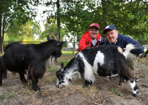 Two men with learning disabilities stroking goats and smiling