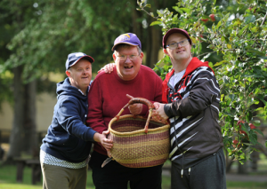 three people with disabilities picking apples from a tree