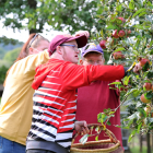 Sponsor smallholding