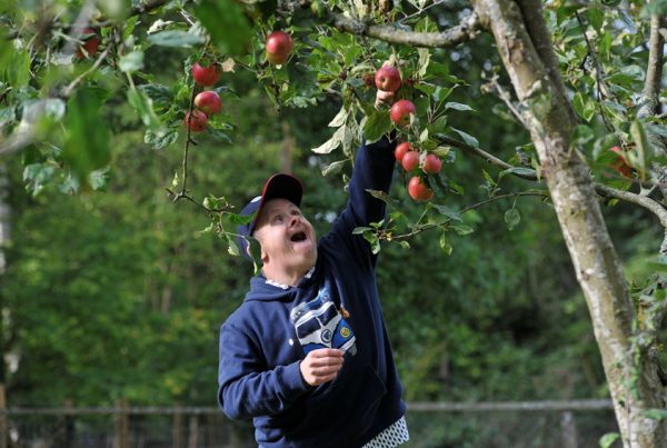 Farm Placements Orchard Trust
