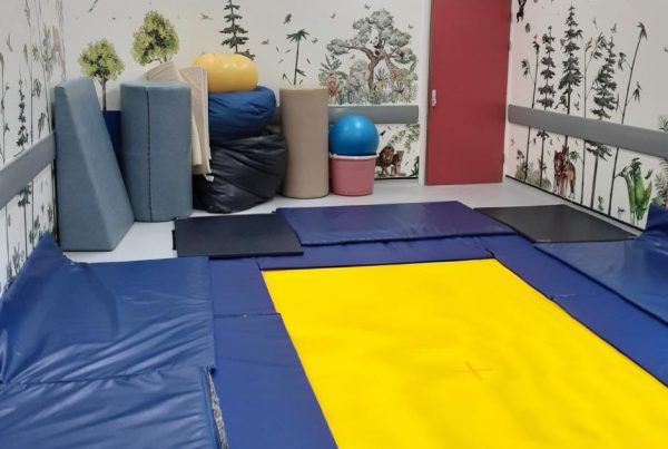 Rebound Therapy Trampoline